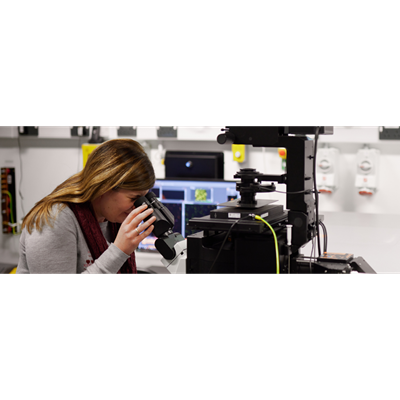 Someone looking into a microscope in Octopus.