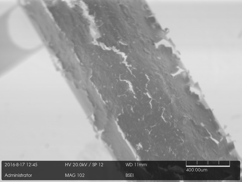 Backscatter electron image