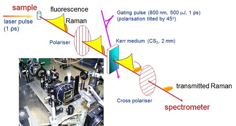 clf_ultra_kerr-gated_raman.jpg