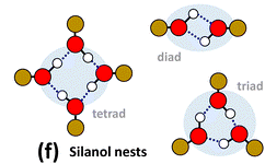 silanol nests v2.gif